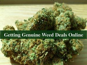 genuine weed deals online