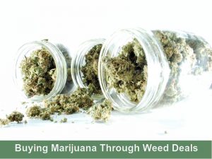 Buying Marijuana Through Weed Deals