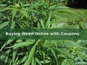 Using Coupons To Buy Weed
