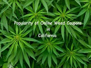 Popularity of Online Weed Coupons in California