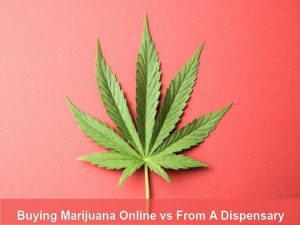 Buying Marijuana Online or From A Dispensary